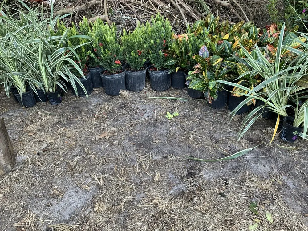 Reliable landscape design with custom design across Orlando, FL - K & M Professional Services