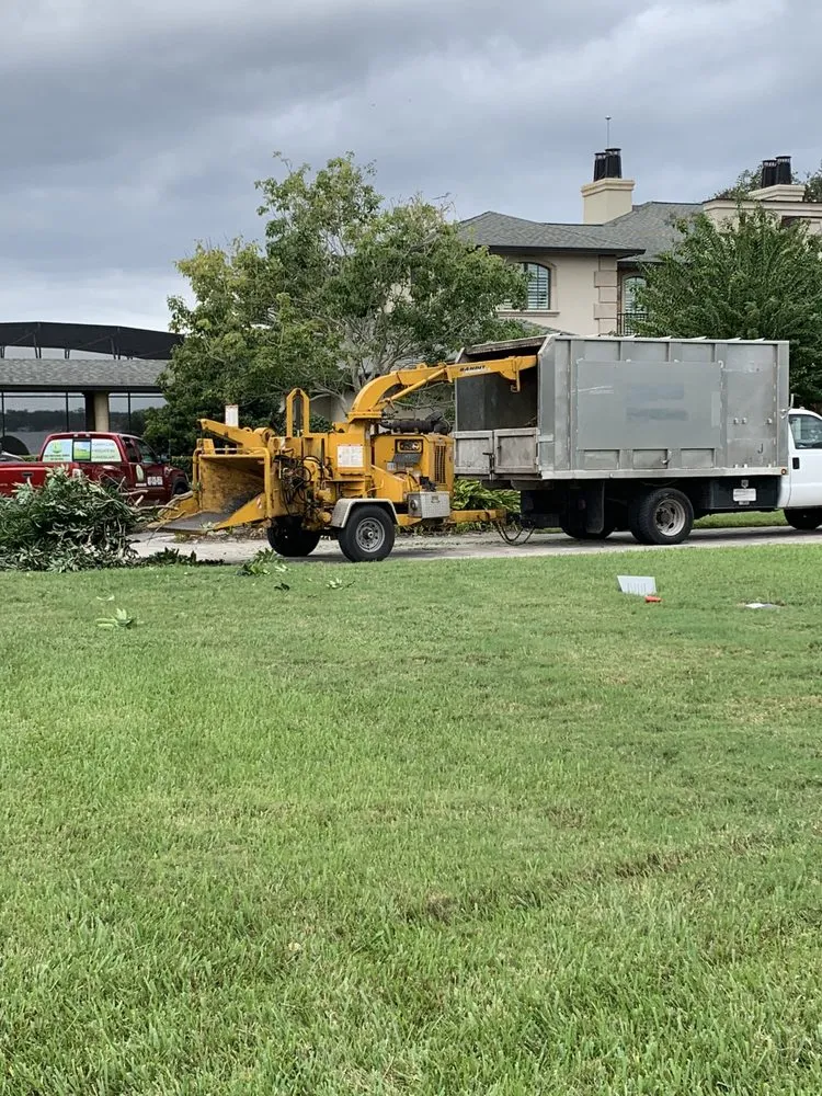 Affordable yard cleanup service for residential properties across Orlando, FL - K & M Professional Services