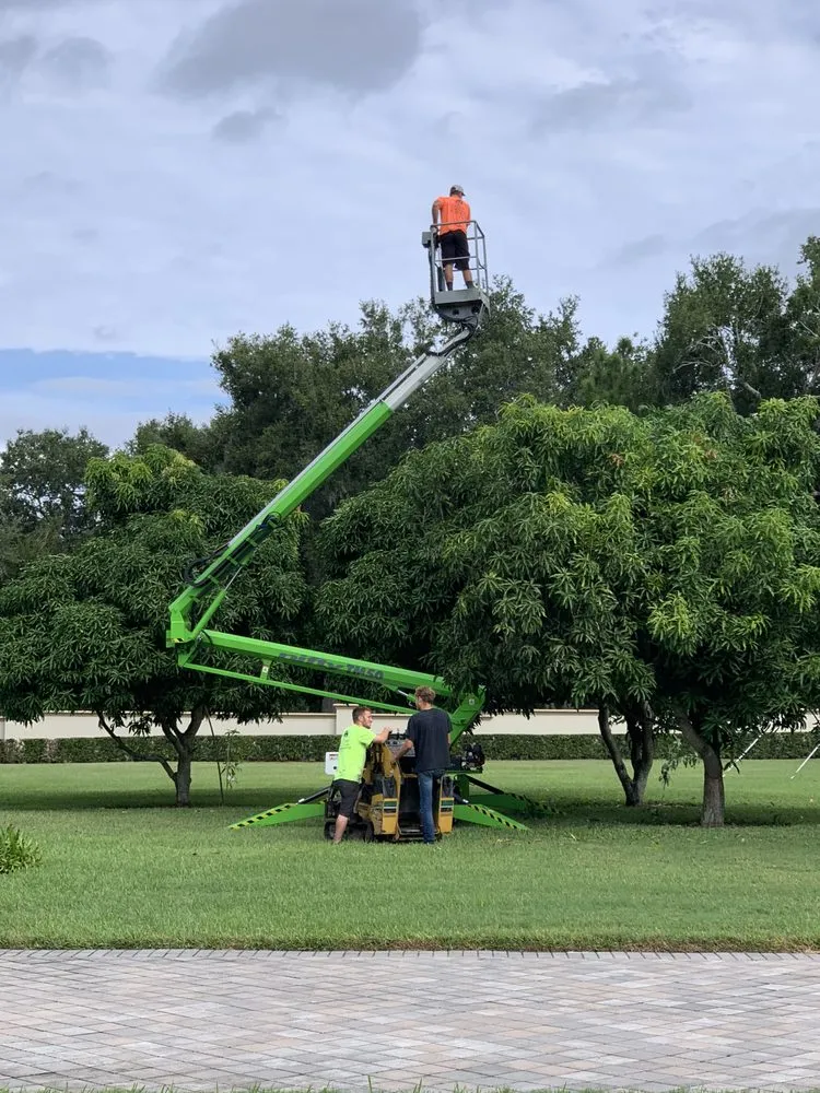 Expert yard maintenance in Orlando, FL by K & M Professional Services