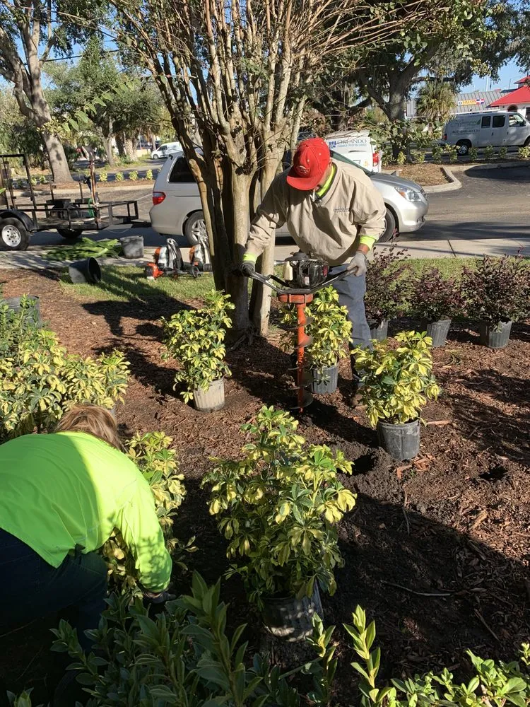 Professional landscaping services experts serving Orlando, FL - K & M Professional Services