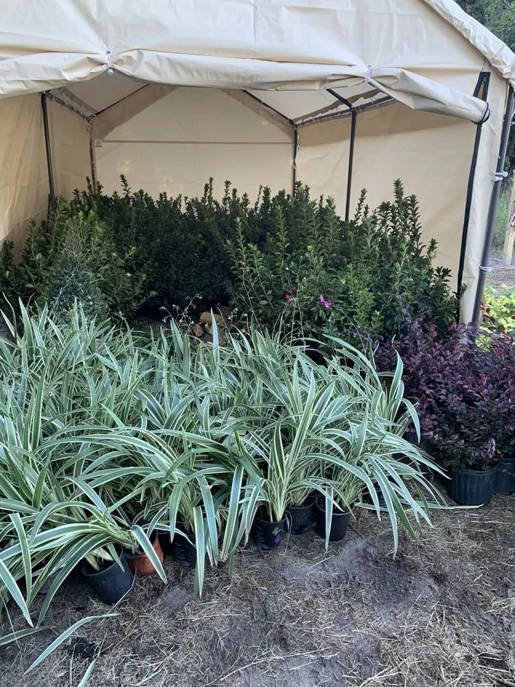 Custom landscaping services in Orlando, FL by K & M Professional Services