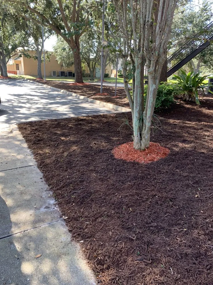 Top-rated landscape installation for homes in Orlando, FL by K & M Professional Services