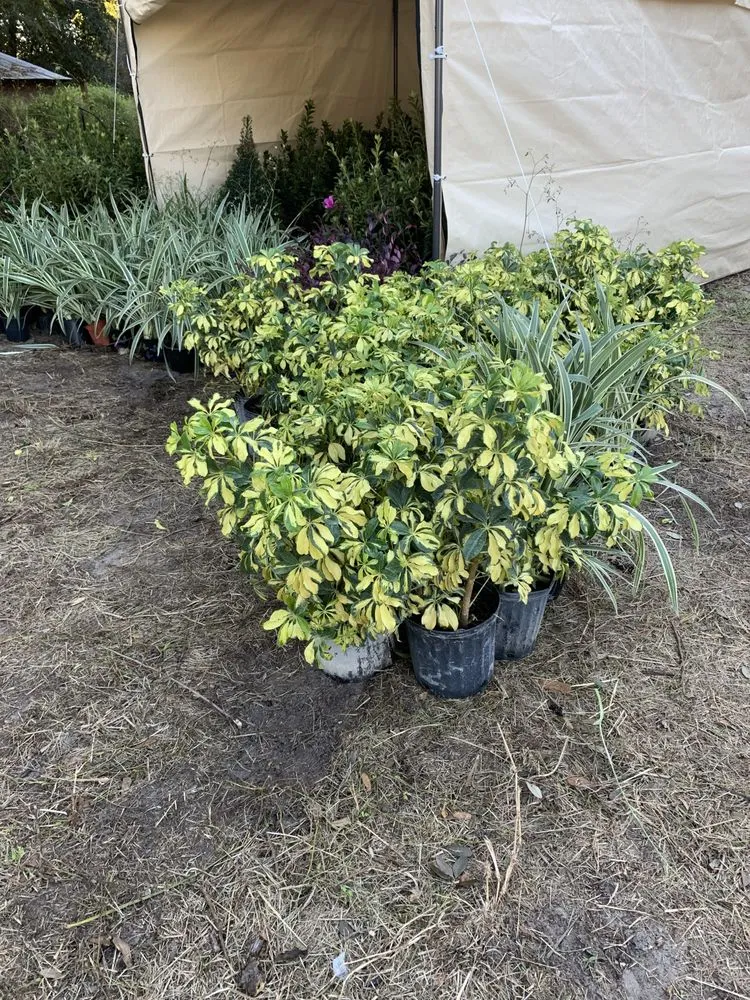 Reliable landscaping services for residential properties in Orlando, FL by K & M Professional Services