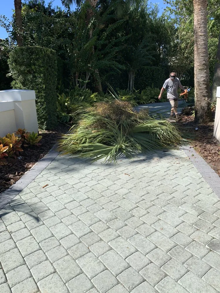 Professional garden landscaping for homes in Orlando, FL by K & M Professional Services