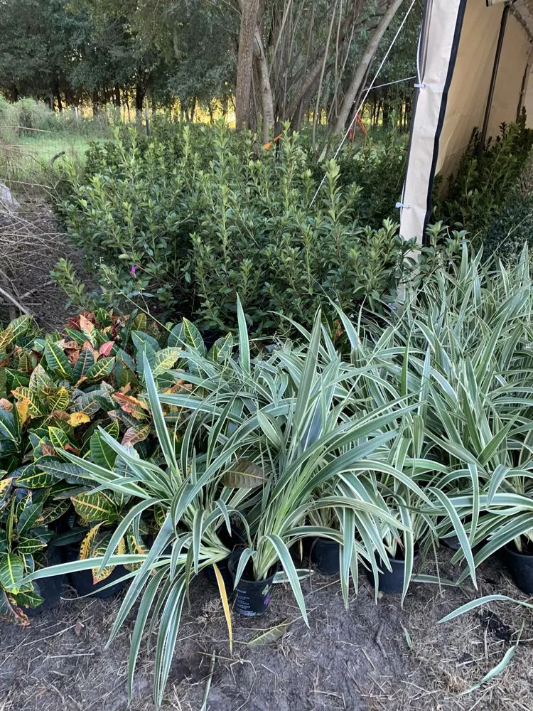 Professional outdoor landscaping for beautiful yards in Orlando, FL by K & M Professional Services