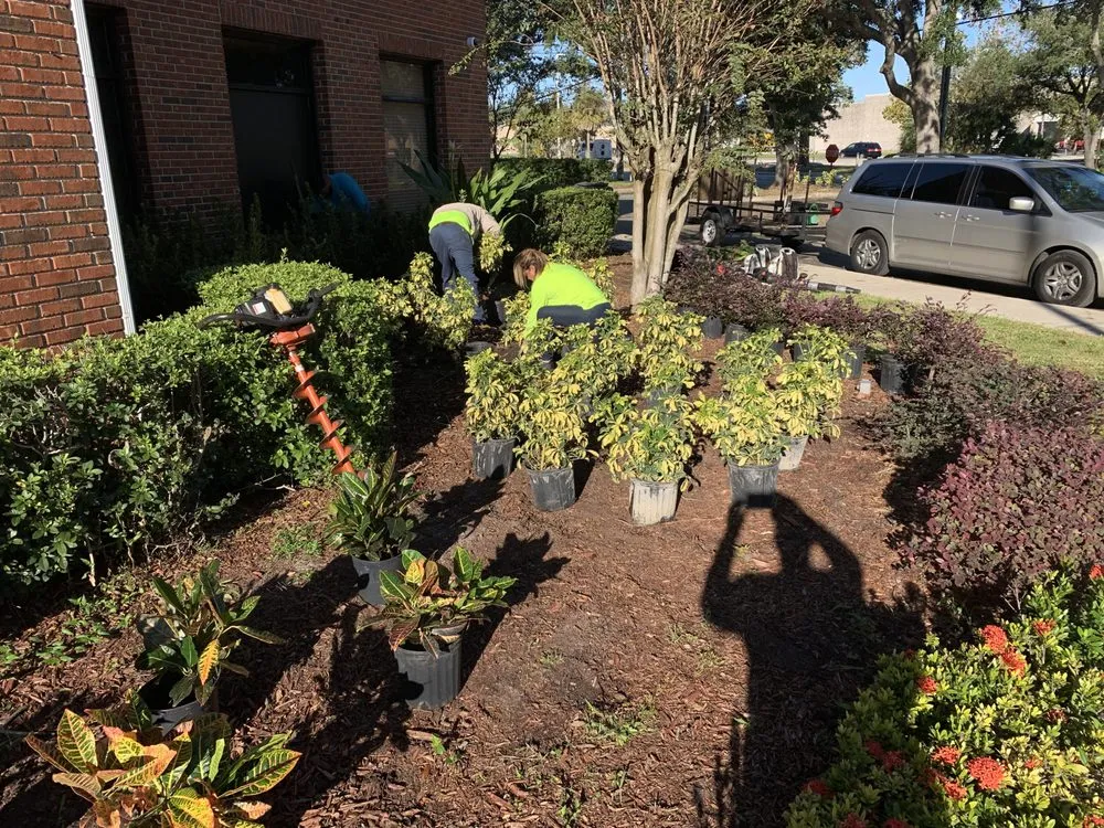 Reliable landscape installation experts serving Orlando, FL - K & M Professional Services