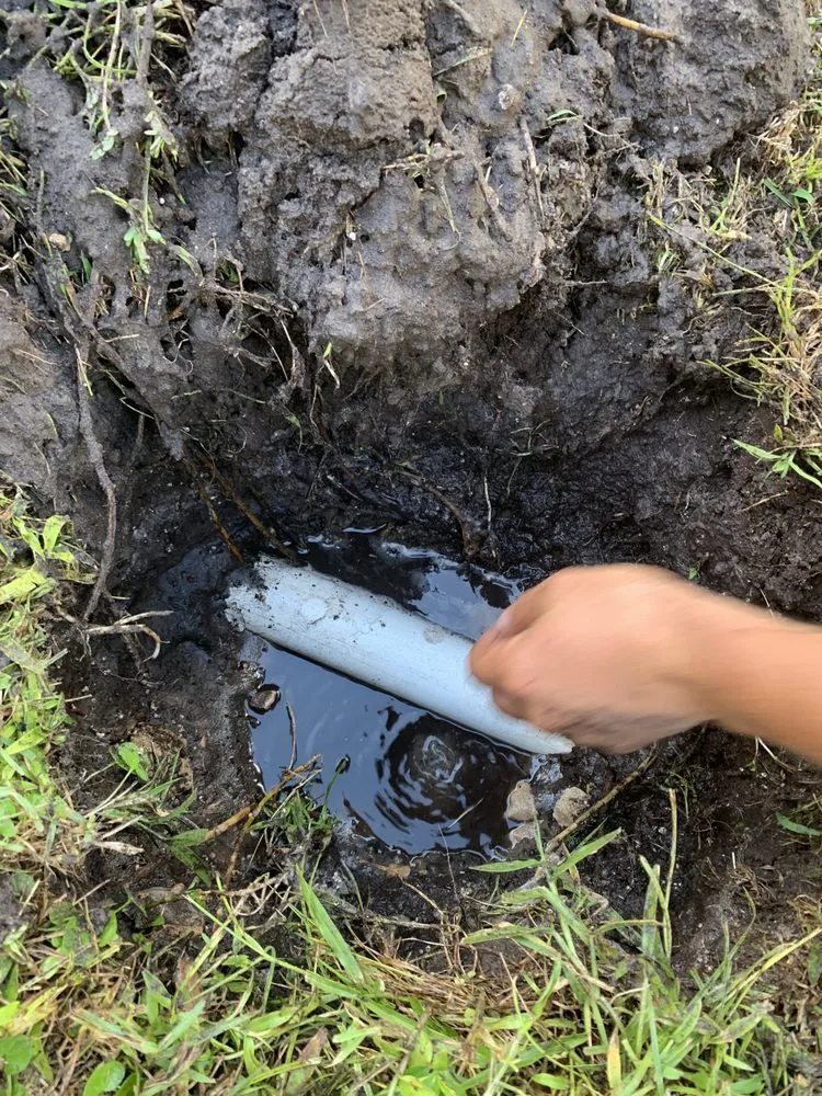 Reliable residential landscaping for outdoor upgrades across Orlando, FL - K & M Professional Services