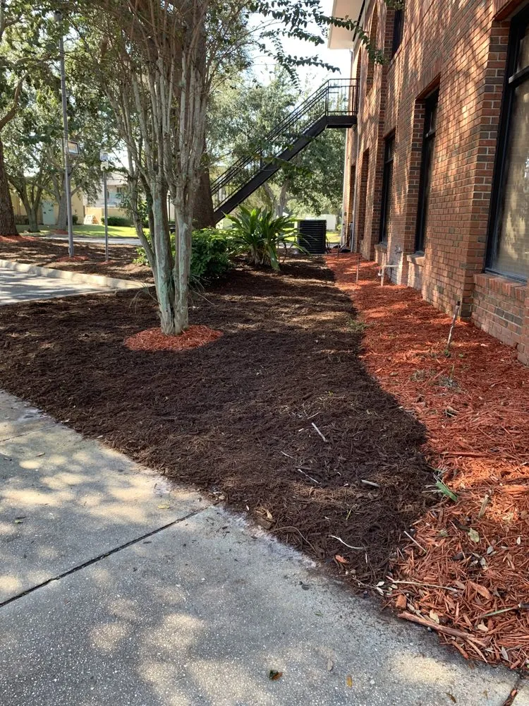Professional residential landscaping in Orlando, FL by K & M Professional Services