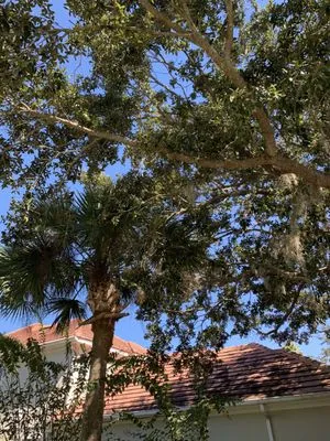 K & M Professional Services Logo