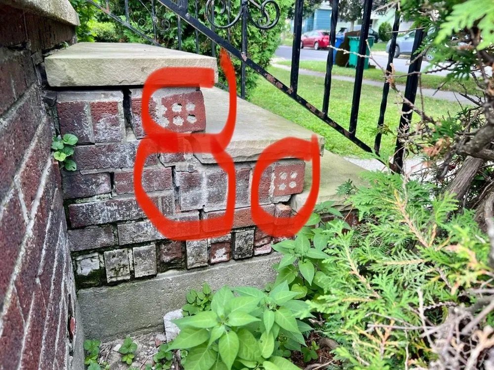 Affordable yard cleanup service in West Seneca, NY - K @ N Builders