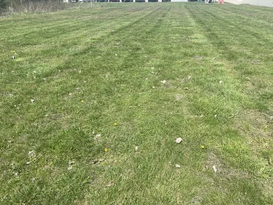K & N Lawncare