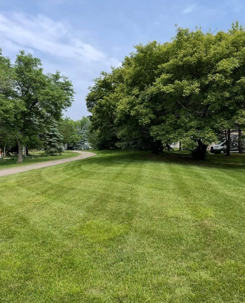 Custom landscaping services in Mankato, MN by K & N Property Services