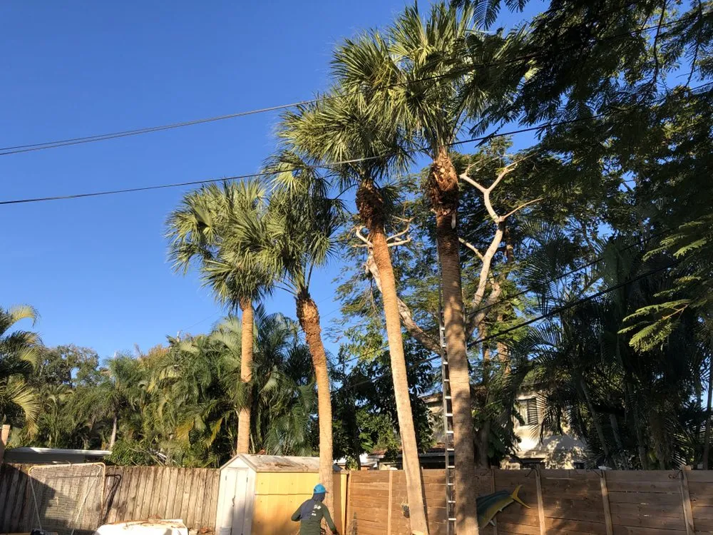 Reliable lawn care service experts serving Lauderhill, FL - K & O Better Lawn Service And Landscaping Corp