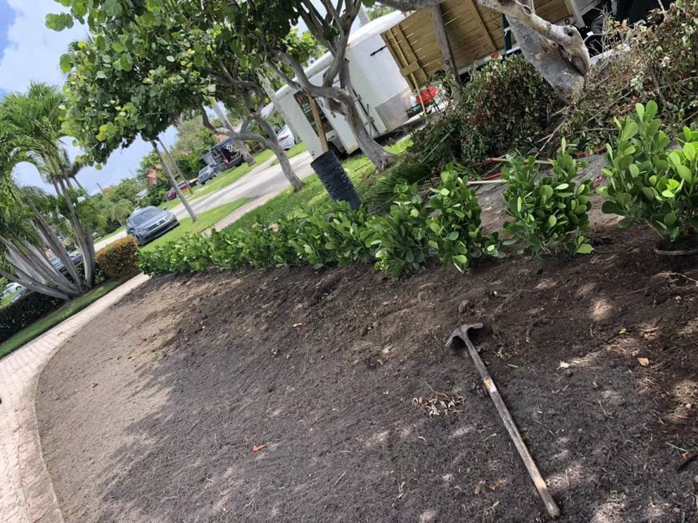 Top-rated outdoor landscaping in Lauderhill, FL by K & O Better Lawn Service And Landscaping Corp