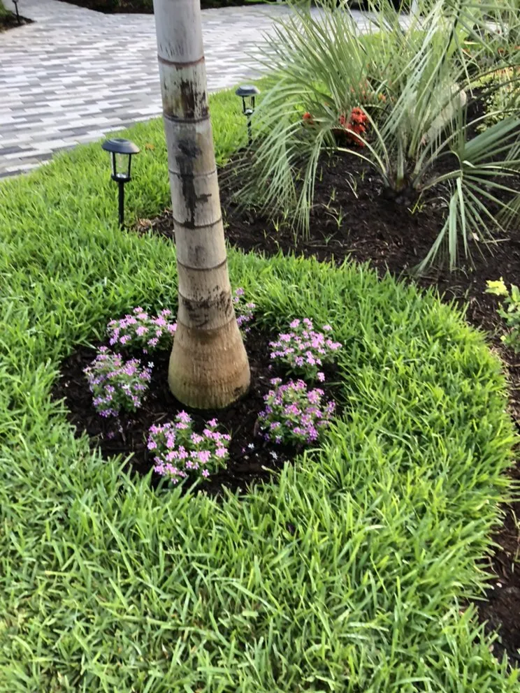 Reliable landscape design with custom design in Lauderhill, FL by K & O Better Lawn Service And Landscaping Corp