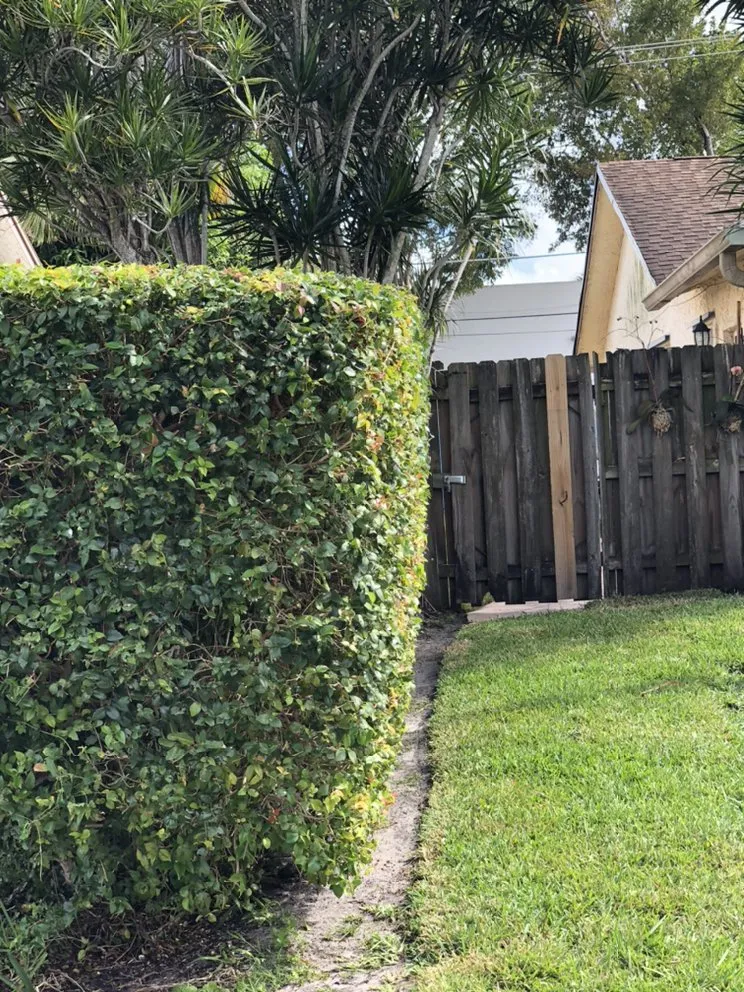 Expert outdoor landscaping in Lauderhill, FL by K & O Better Lawn Service And Landscaping Corp