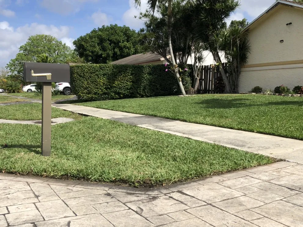 Top-rated outdoor landscaping experts serving Lauderhill, FL - K & O Better Lawn Service And Landscaping Corp