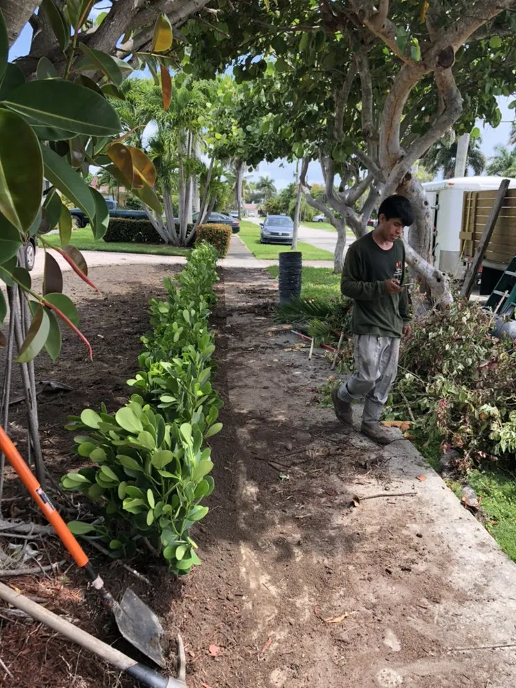 Trusted garden landscaping for year-round maintenance in Lauderhill, FL by K & O Better Lawn Service And Landscaping Corp