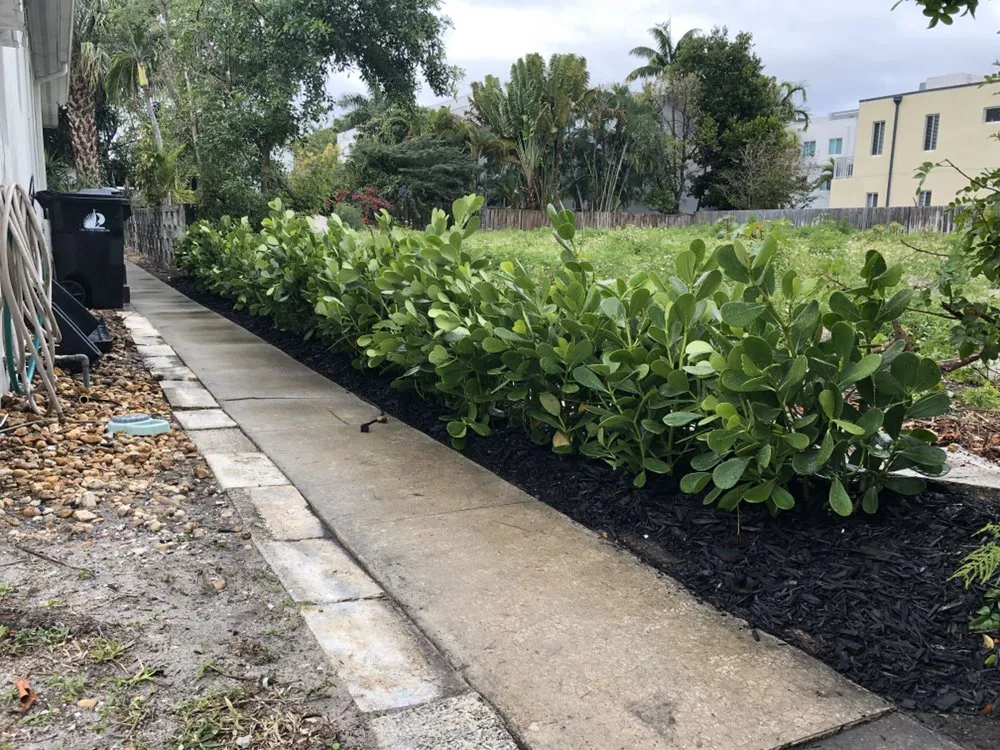 Trusted yard maintenance in Lauderhill, FL - K & O Better Lawn Service And Landscaping Corp
