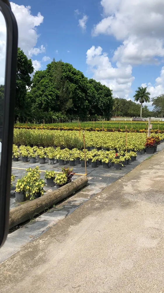 Expert outdoor landscaping for year-round maintenance across Lauderhill, FL - K & O Better Lawn Service And Landscaping Corp