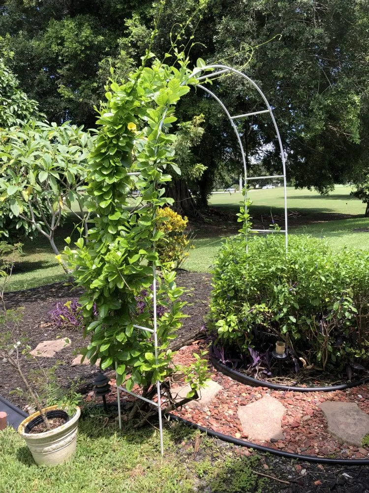 Top-rated residential landscaping in Lauderhill, FL - K & O Better Lawn Service And Landscaping Corp