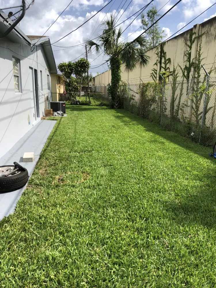 Trusted yard cleanup service in Lauderhill, FL by K & O Better Lawn Service And Landscaping Corp