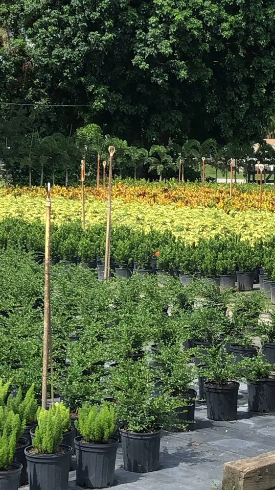 Trusted landscaping services with custom design across Lauderhill, FL - K & O Better Lawn Service And Landscaping Corp