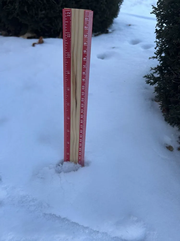 Affordable lawn mowing service for homes in Plainfield, IL by K & R Landscaping