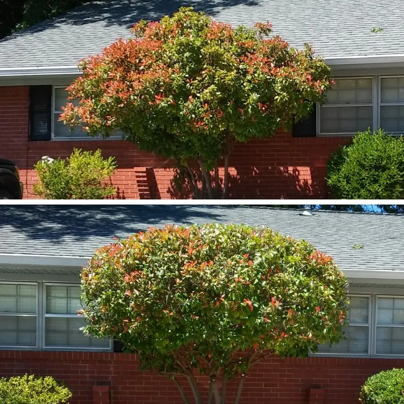 Affordable landscape installation in Tulsa, OK by K & R Lawn & Lanscaping