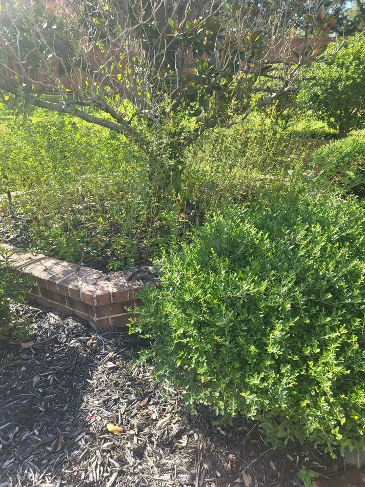 Trusted residential landscaping in Fort Worth, TX - K & R Lawn Services