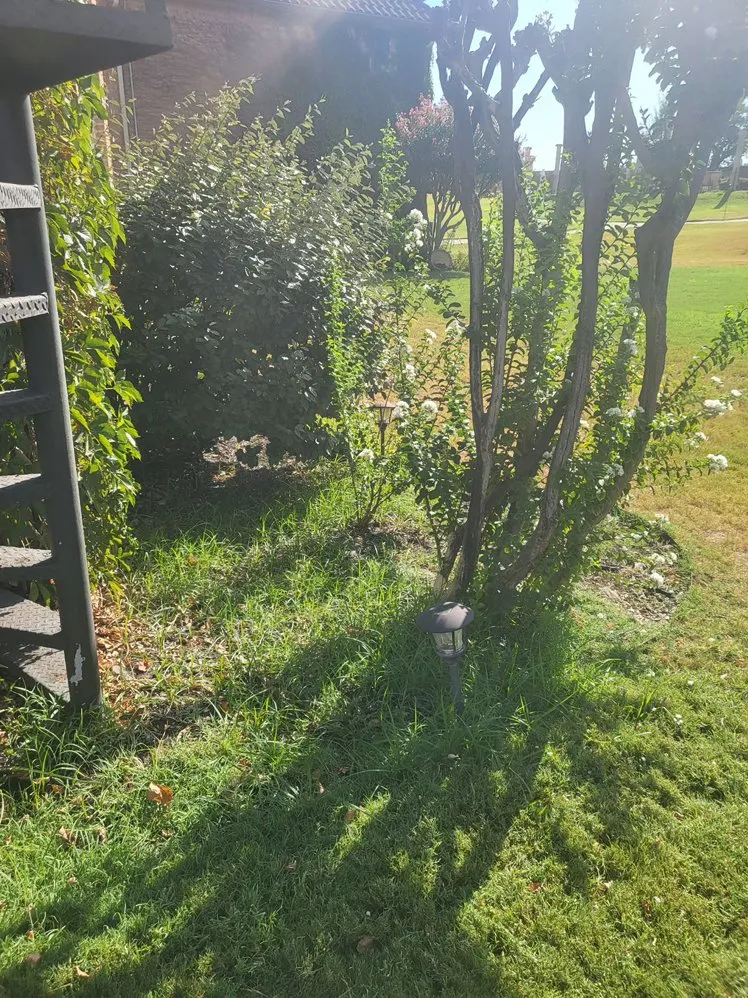 Affordable lawn mowing service with custom design across Fort Worth, TX - K & R Lawn Services