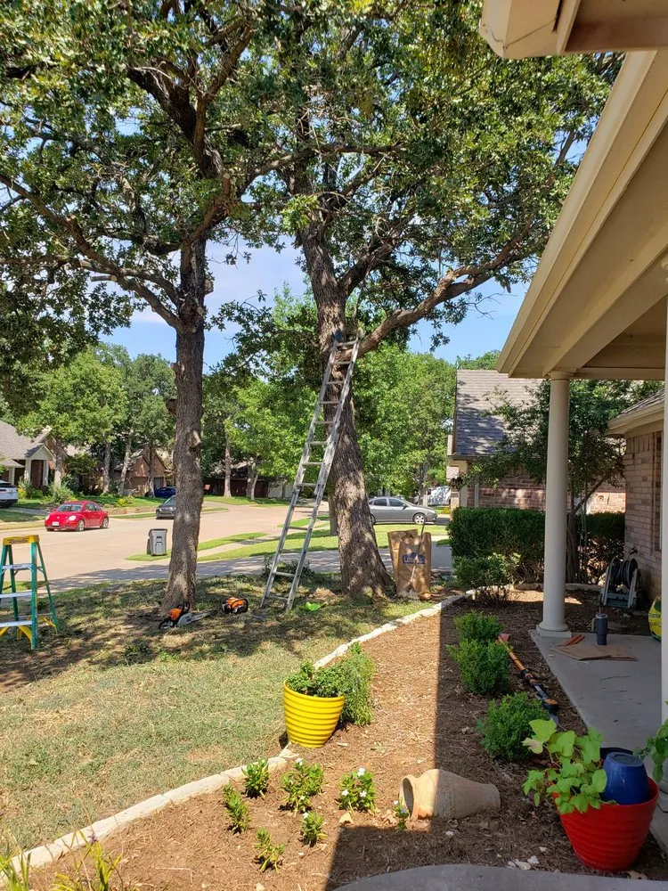 Custom landscaping services near you across Fort Worth, TX - K & R Lawn Services