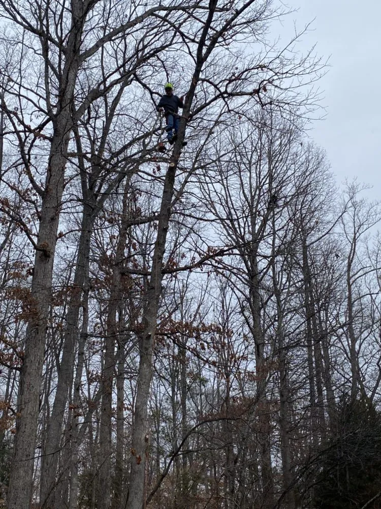 Local landscape installation experts serving Fredericksburg, VA - K & R Tree and Landscaping