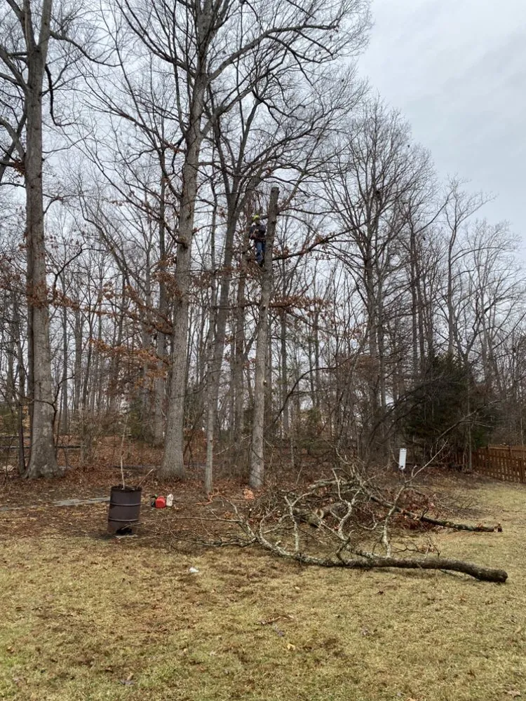 Top-rated outdoor landscaping experts serving Fredericksburg, VA - K & R Tree and Landscaping