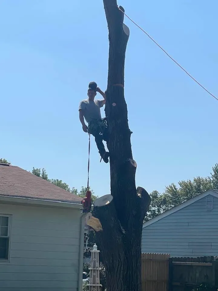 Reliable yard cleanup service experts serving Fredericksburg, VA - K & R Tree and Landscaping