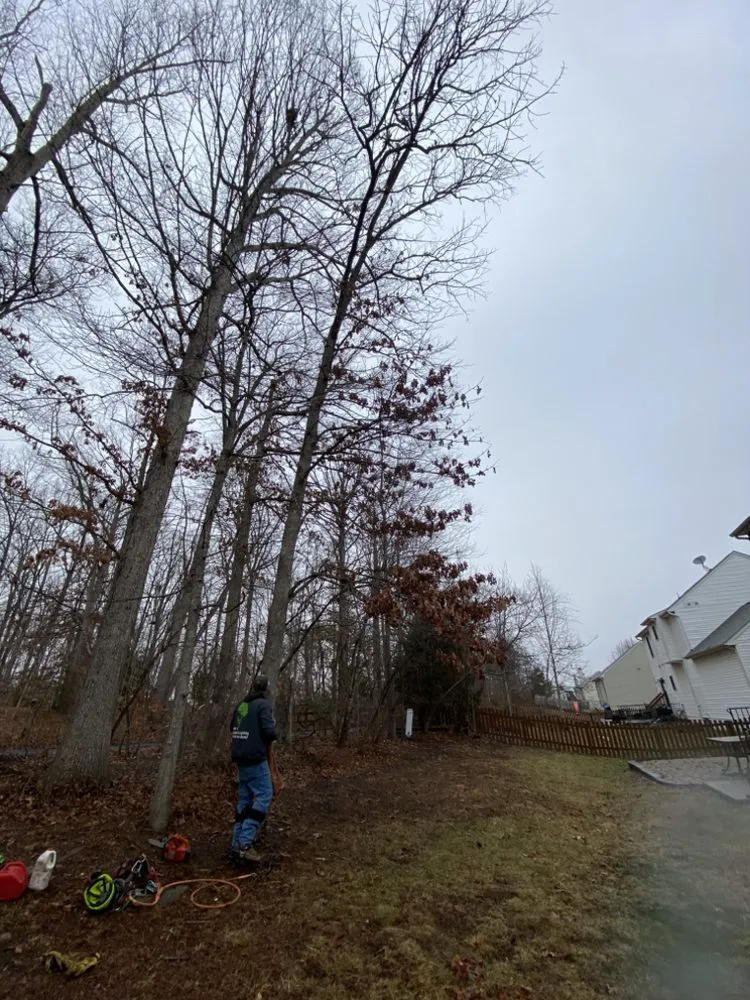 Local outdoor landscaping in Fredericksburg, VA by K & R Tree and Landscaping