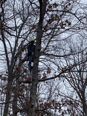 K & R Tree and Landscaping Logo