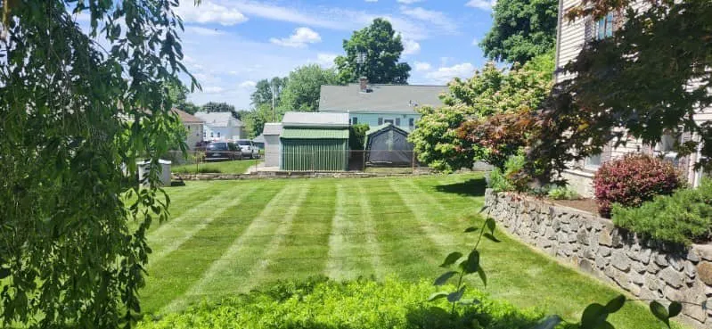 Professional yard cleanup service in North Smithfield, RI by K & S Landscaping