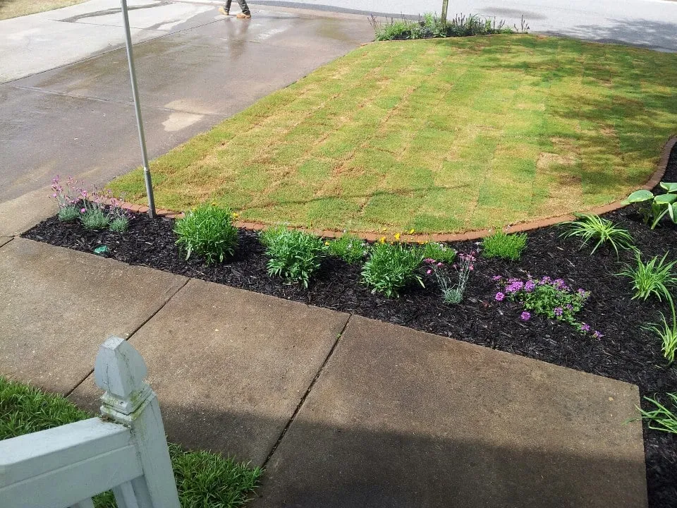 Trusted lawn care service in Indian Rocks Beach, FL by K & S Outdoor Services