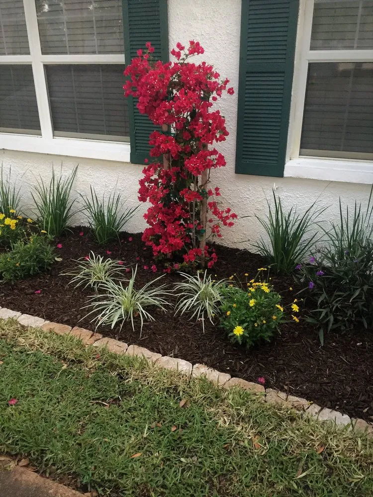 Affordable landscaping services in Indian Rocks Beach, FL - K & S Outdoor Services