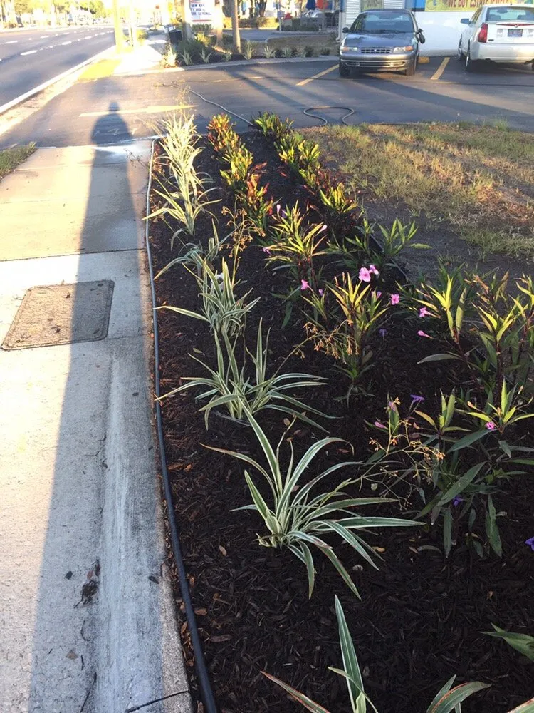 Expert yard maintenance for year-round maintenance across Indian Rocks Beach, FL - K & S Outdoor Services