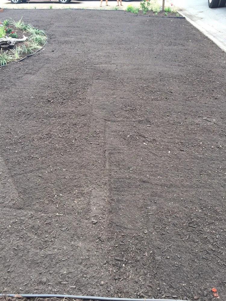 Affordable lawn care service experts serving Indian Rocks Beach, FL - K & S Outdoor Services