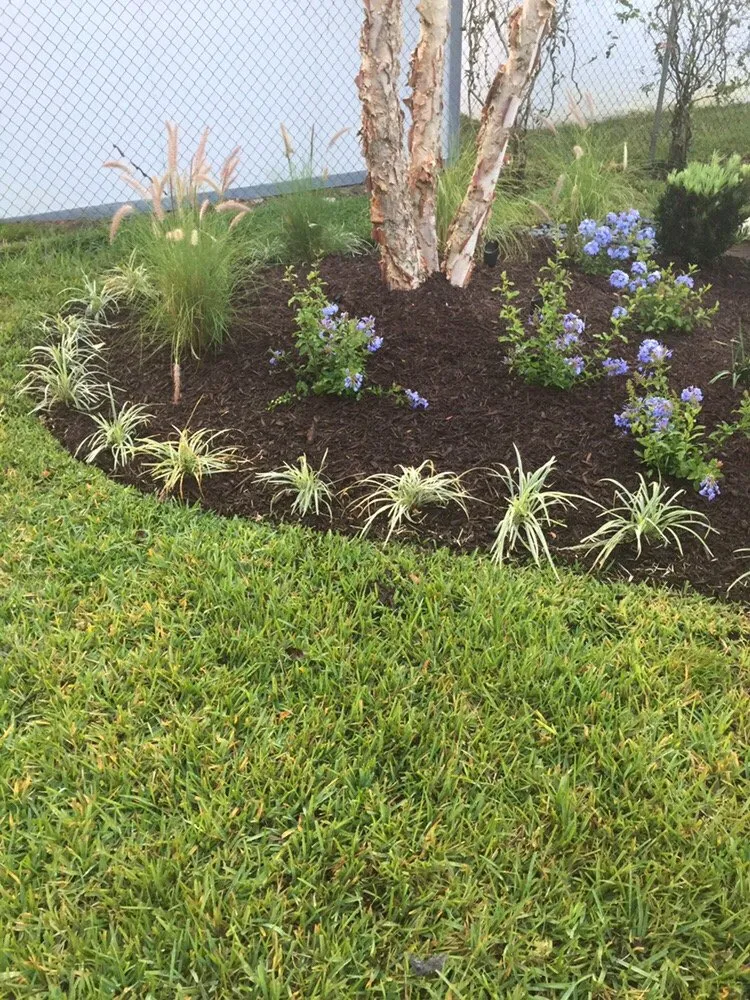 Local landscape installation experts serving Indian Rocks Beach, FL - K & S Outdoor Services