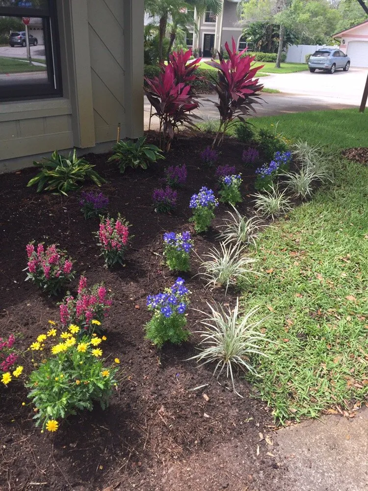 Professional landscaping services with custom design in Indian Rocks Beach, FL by K & S Outdoor Services