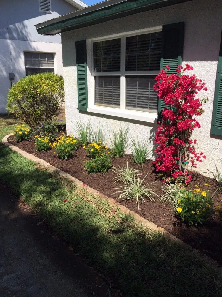 Top-rated outdoor landscaping in Indian Rocks Beach, FL by K & S Outdoor Services
