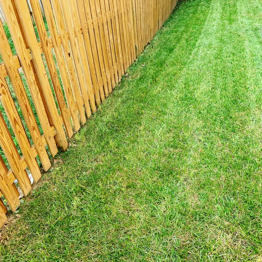 Expert yard cleanup service experts serving Woodbridge, VA - K & S Priority Lawncare
