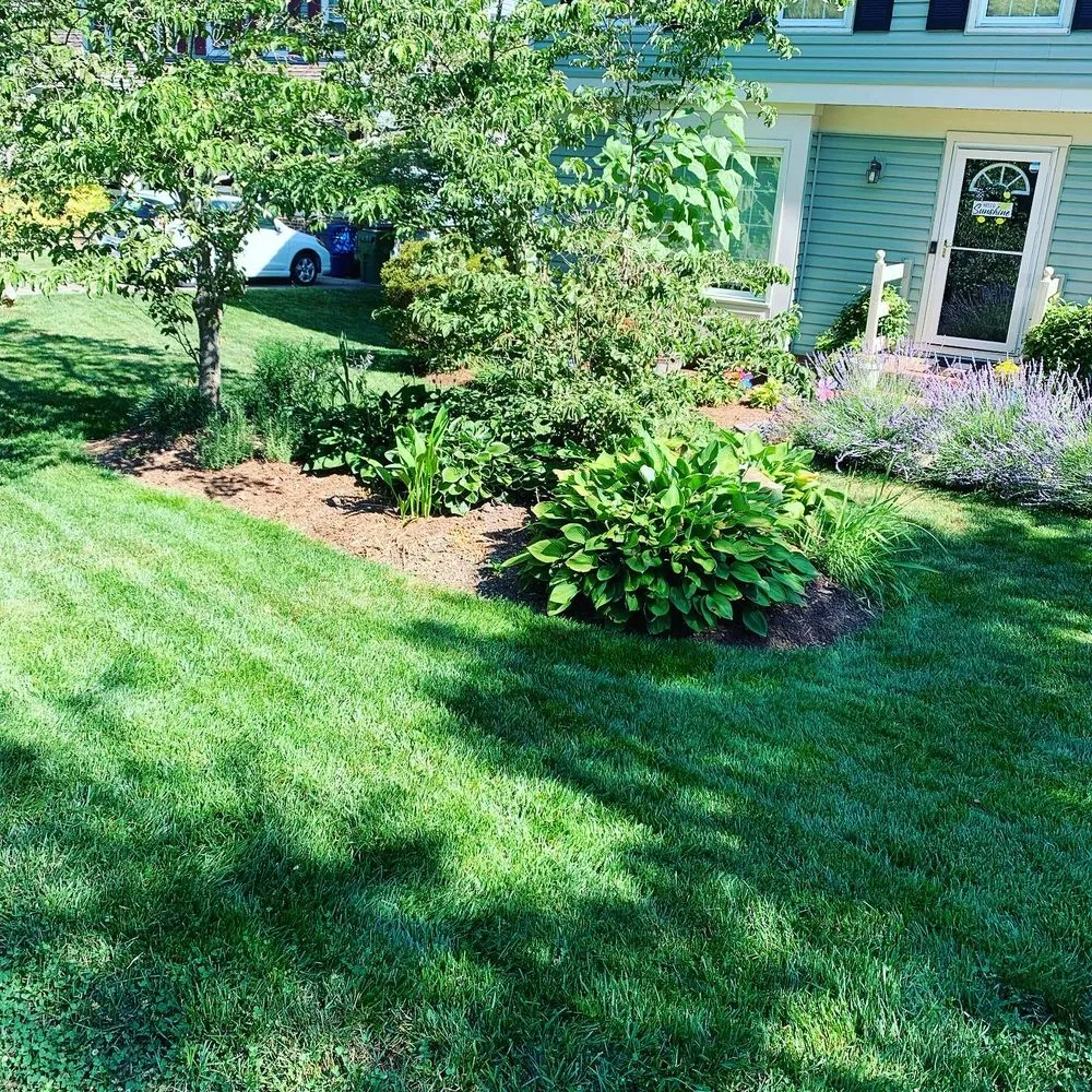 Reliable lawn care service for residential properties in Woodbridge, VA by K & S Priority Lawncare