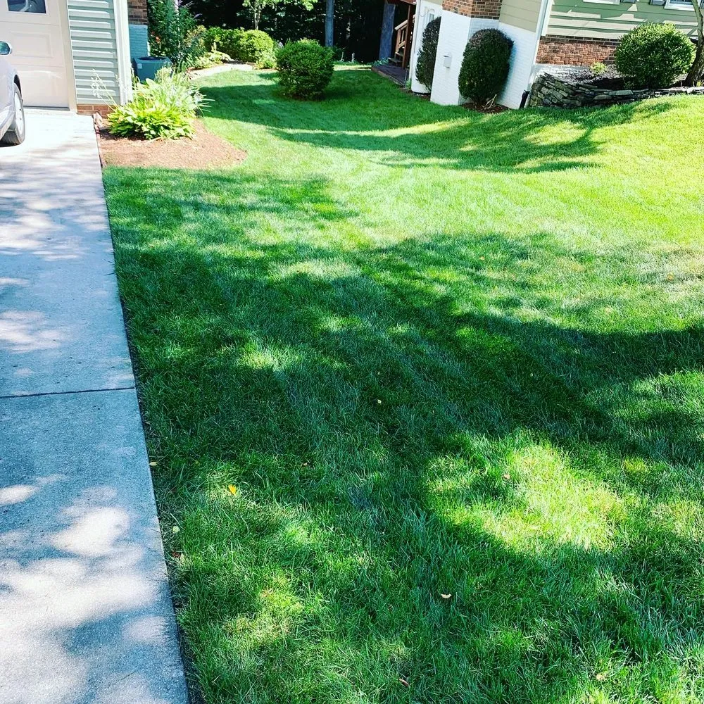 Affordable yard cleanup service in Woodbridge, VA - K & S Priority Lawncare