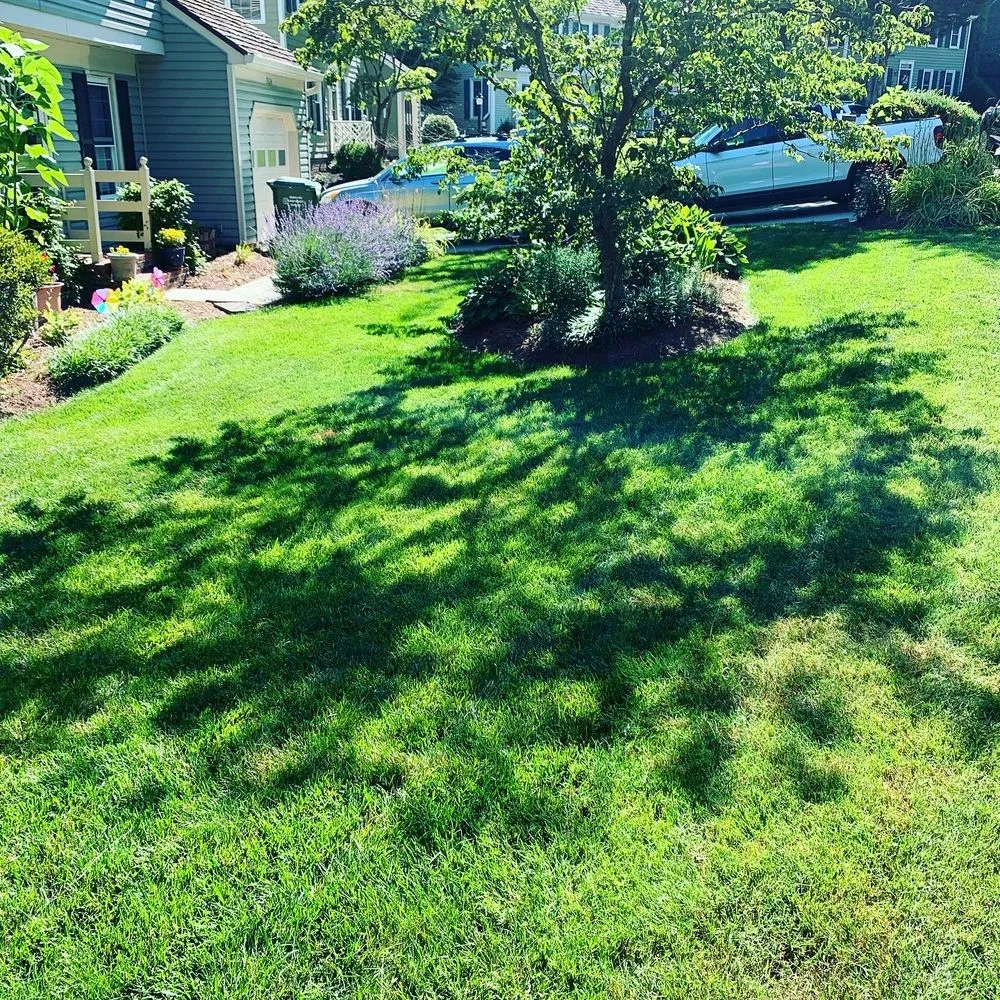 Expert yard cleanup service for residential properties across Woodbridge, VA - K & S Priority Lawncare