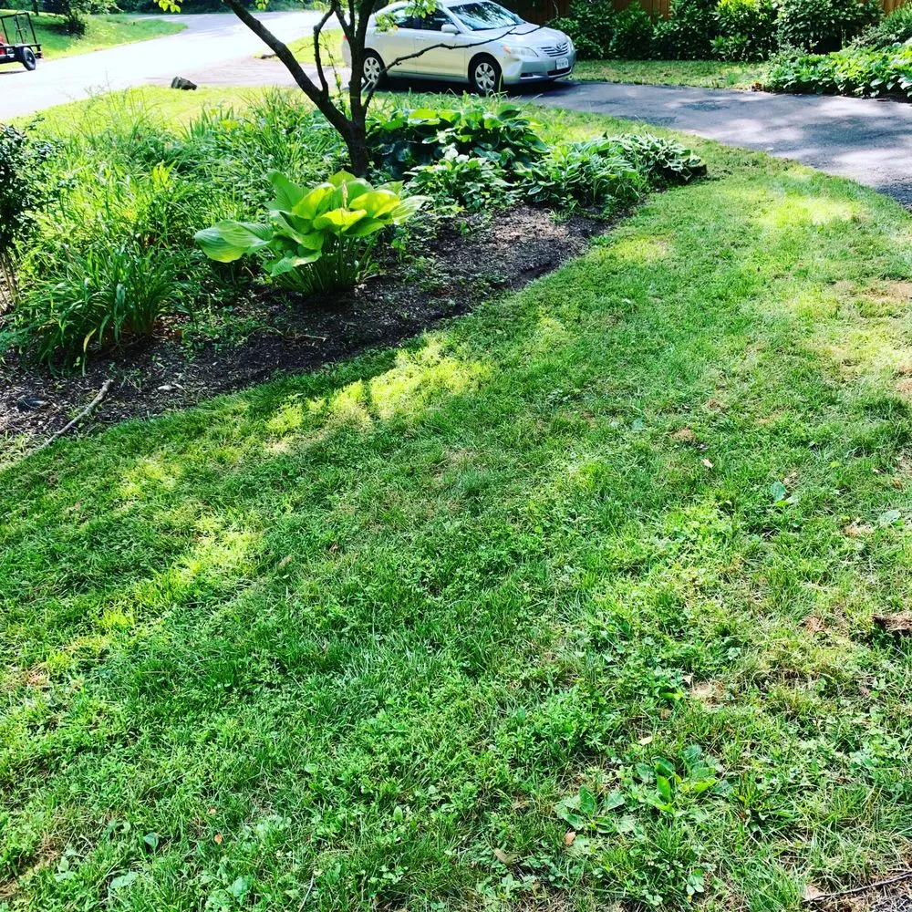Local lawn care service for residential properties in Woodbridge, VA by K & S Priority Lawncare